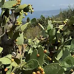 Sassi Di Fteri Βίλα *