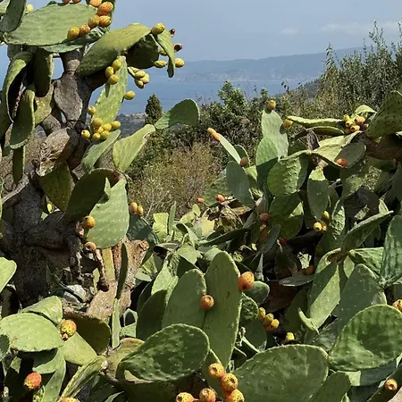 Sassi Di Fteri Villa *