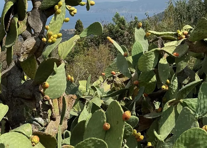 Sassi Di Fteri Vila *